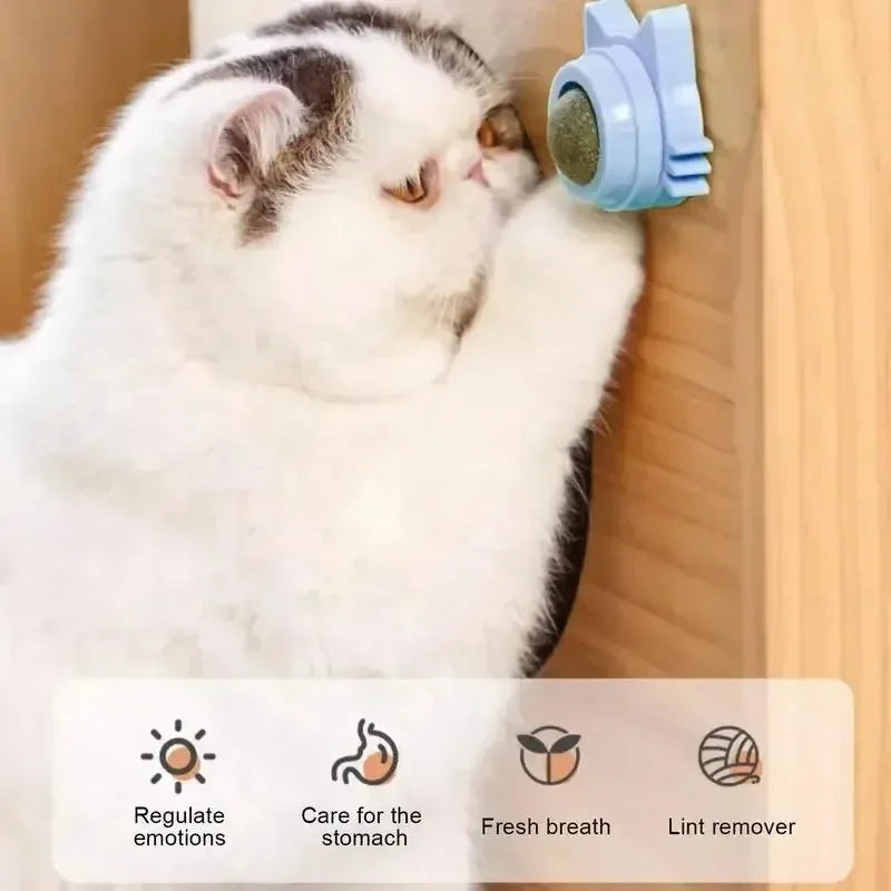 Natural Catnip Rotating Wall Stick Scratch Cat Toy