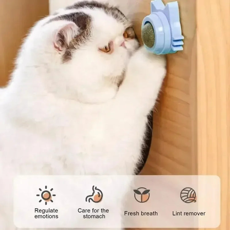 Natural Catnip Rotating Wall Stick Scratch Cat Toy