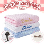 Custom Name Pet Blanket Soft Minky Dog Travel Mat
