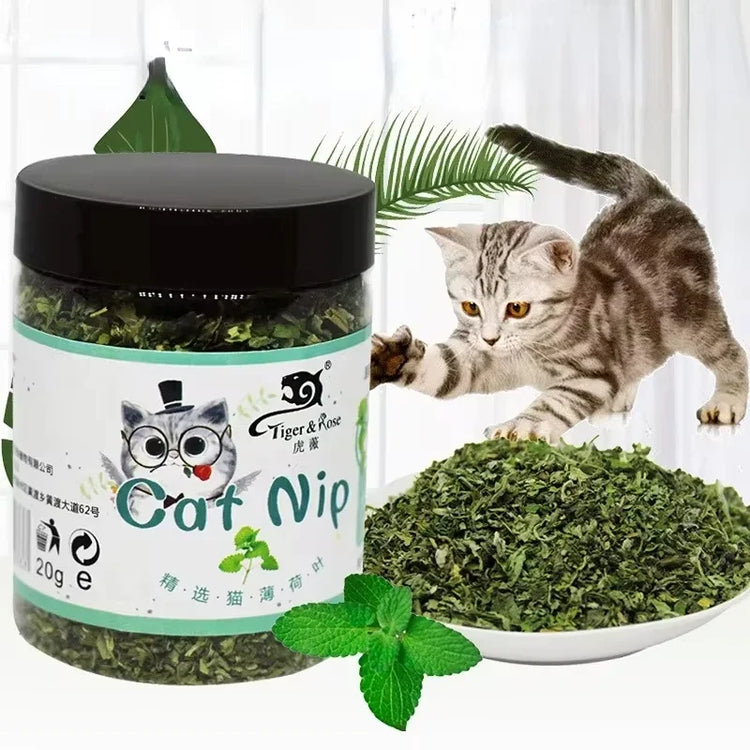 Natural Catnip Grass Mint Interactive Cat Toy Set