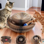 Cat Scratch Board Ball Claw Climbing Kitten Toy