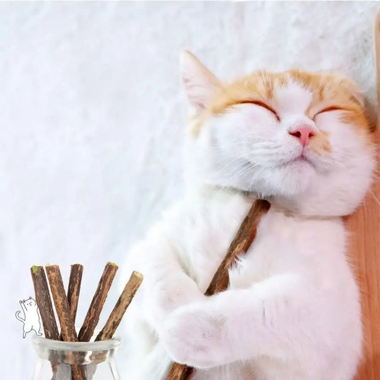 Silvervine Sticks Cat Chew Dental Cleaning Kitten Toy