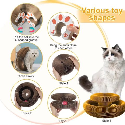 Cat Scratch Board Ball Claw Climbing Kitten Toy
