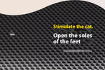 Extra Large Cat Litter Mat Heavy Waterproof Non Slip