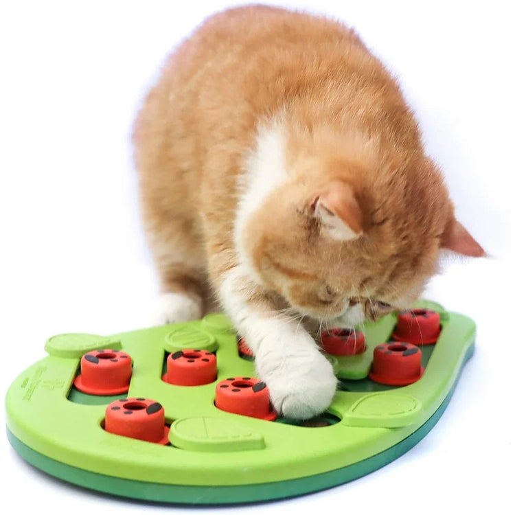 Rainy Day Cat Puzzle Treat Puzzle Scratch Board