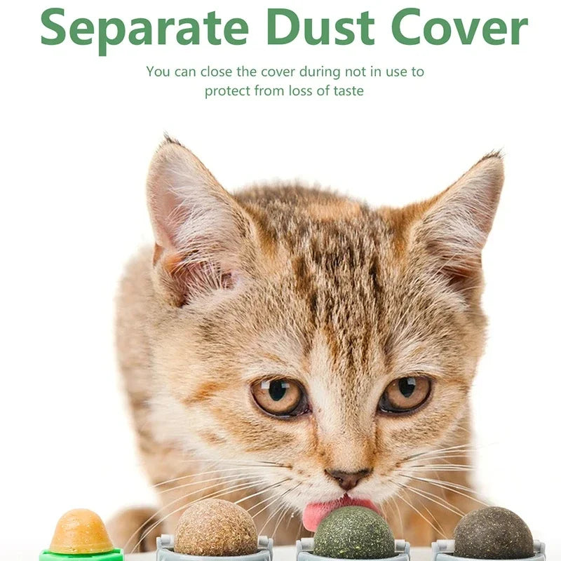 4in1 Rotating Catnip Silvervine Ball Teeth Cleaning Toy Safe