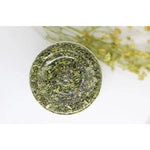 Natural Catnip Grass Mint Interactive Cat Toy Set