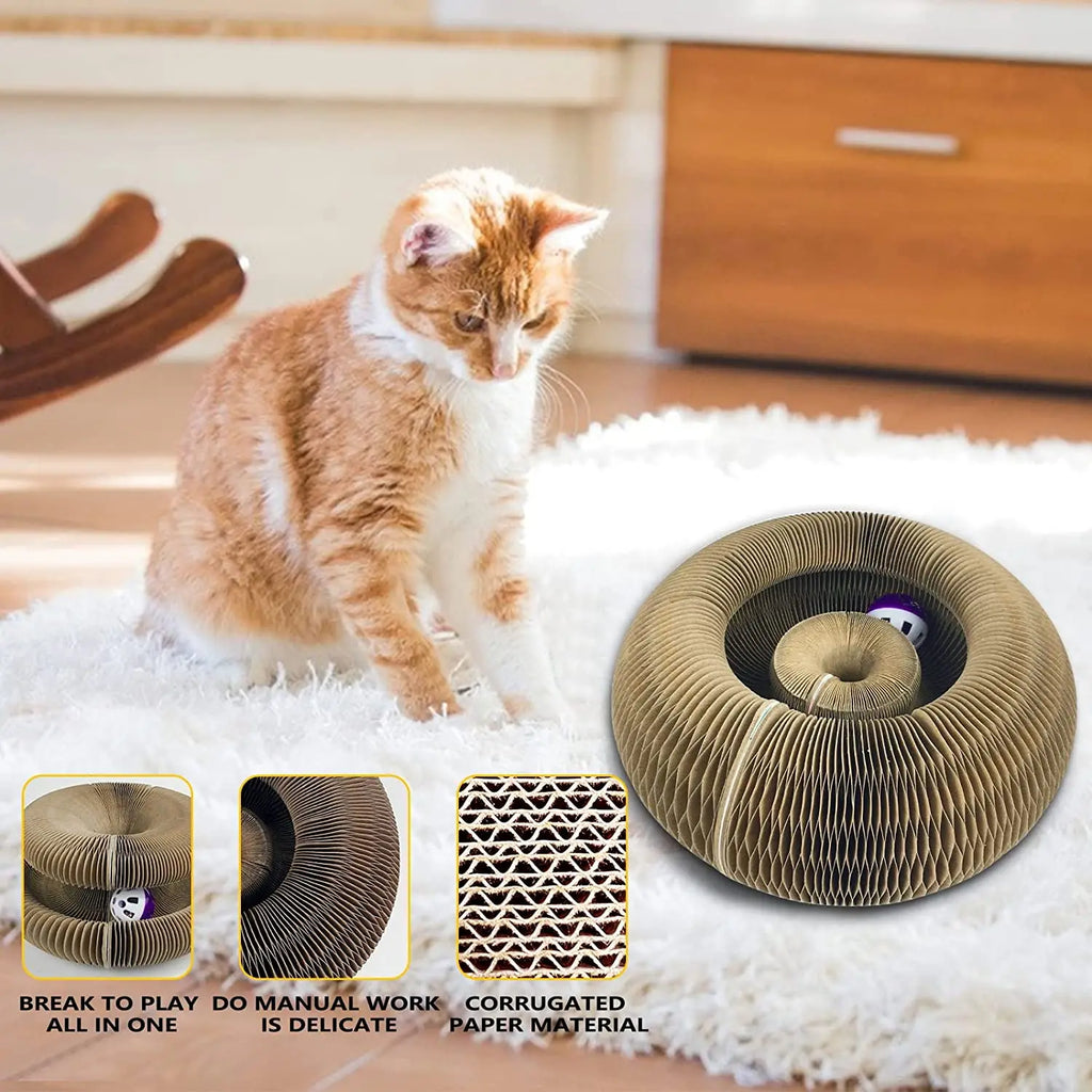 Cat Scratch Board Ball Claw Climbing Kitten Toy