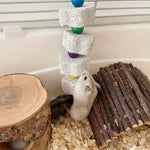 Flower Bird Molar Parrot Grinding Stone Cage Toy