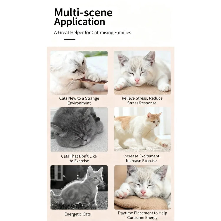 Silvervine Sticks Cat Chew Dental Cleaning Kitten Toy