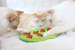Rainy Day Cat Puzzle Treat Puzzle Scratch Board