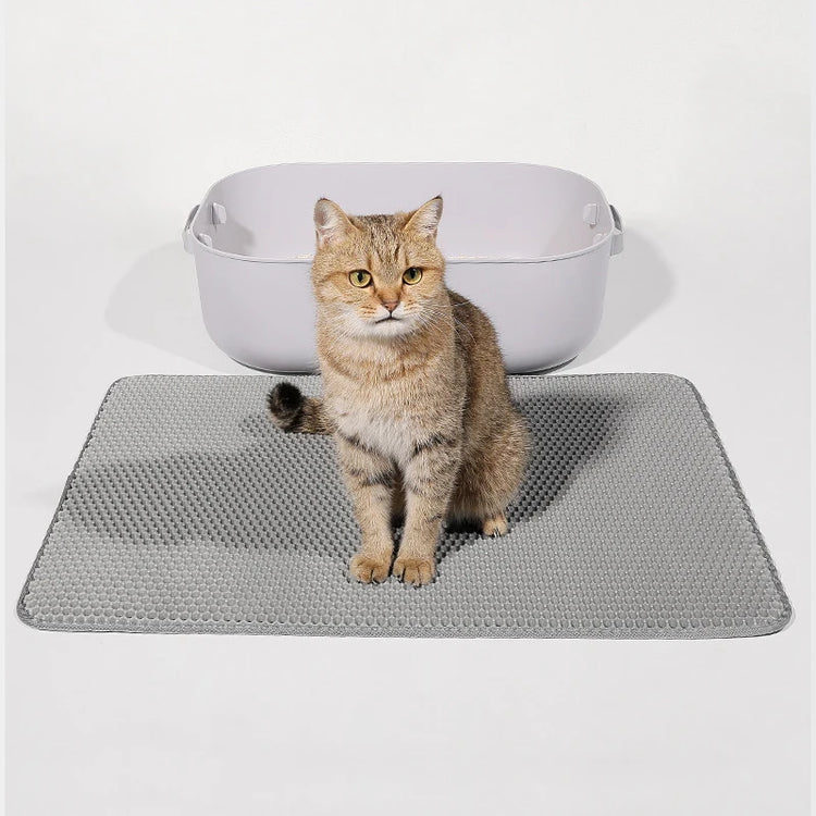 Double Layer Cat Litter Mat Waterproof Toilet Rug