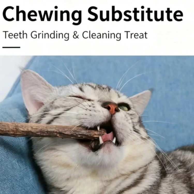 Silvervine Sticks Cat Chew Dental Cleaning Kitten Toy