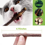 Silvervine Sticks Cat Chew Dental Cleaning Kitten Toy