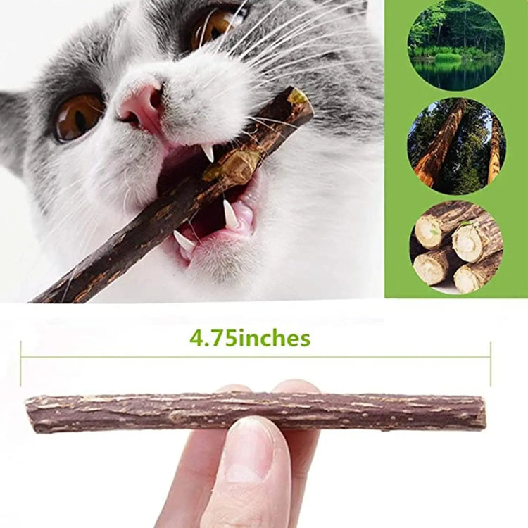 Silvervine Sticks Cat Chew Dental Cleaning Kitten Toy