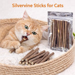 Silvervine Sticks Cat Chew Dental Cleaning Kitten Toy