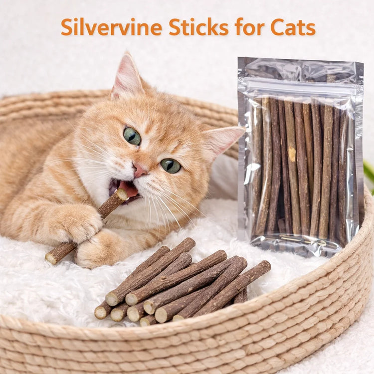 Silvervine Sticks Cat Chew Dental Cleaning Kitten Toy