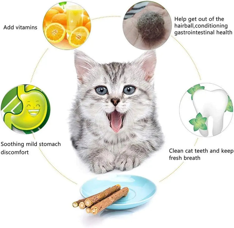 Silvervine Sticks Cat Chew Dental Cleaning Kitten Toy