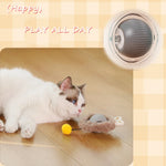Interactive Cat Ball Rolling Hide Seek Motion Toy