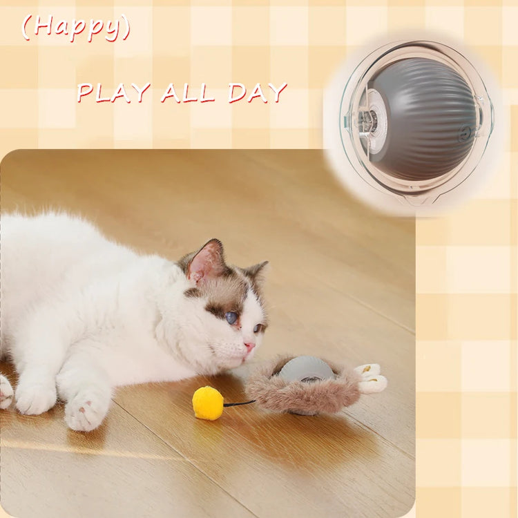 Interactive Cat Ball Rolling Hide Seek Motion Toy