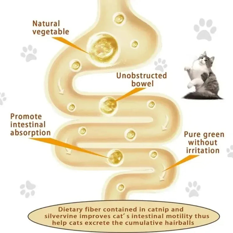 4in1 Rotating Catnip Silvervine Ball Teeth Cleaning Toy Safe