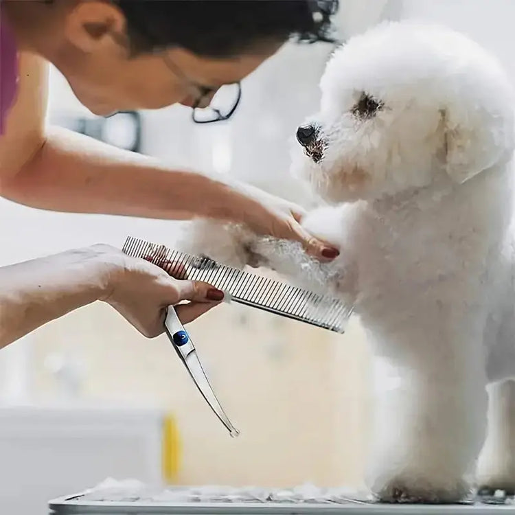 Pet Safe Grooming Scissors Stainless Steel Dog Shears