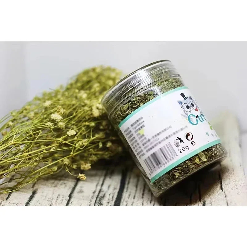 Natural Catnip Grass Mint Interactive Cat Toy Set