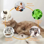 4in1 Rotating Catnip Silvervine Ball Teeth Cleaning Toy Safe