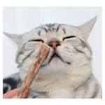 Silvervine Sticks Cat Chew Dental Cleaning Kitten Toy